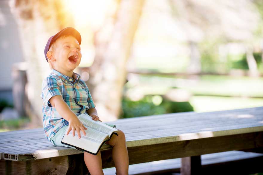 Little boy sitting on a bench, reading and lauging